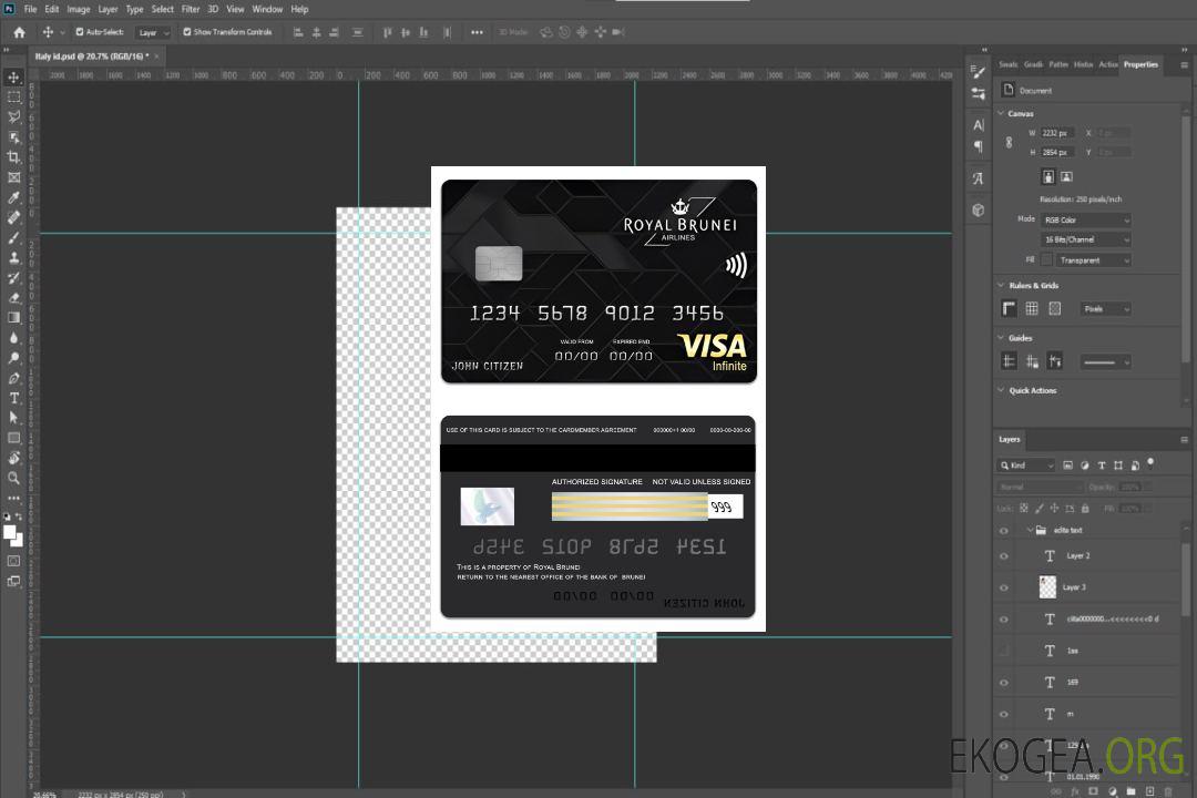Brunei Baiduri Bank Royal Brunei Visa Infinite Carte de crédit template Brunei Baiduri Bank Royal Brunei Visa Infinite Carte de crédit template